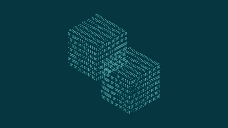 内蒙信创改造：网络应用开发流程标准化的核心路径与实践